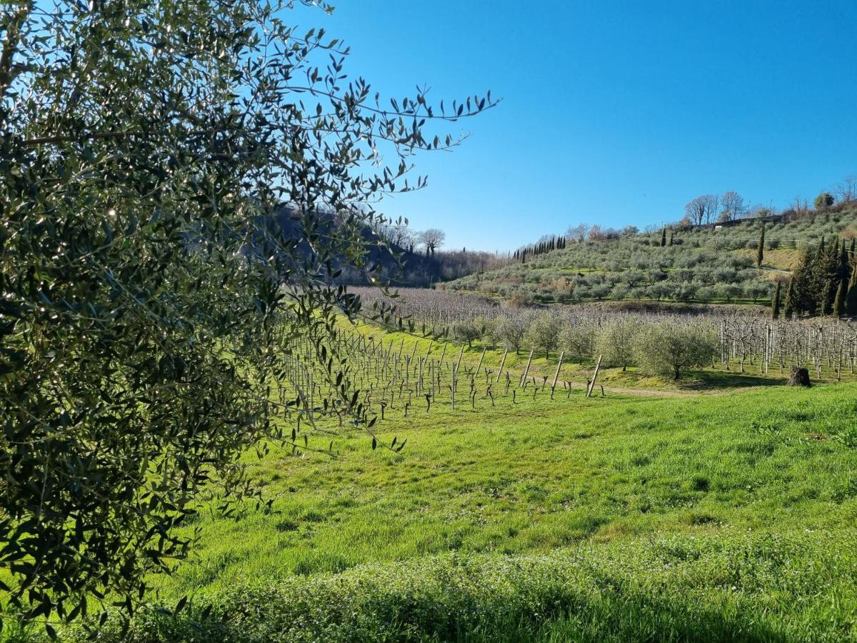 Walkandrace Sant'Agata  Luaran gambar